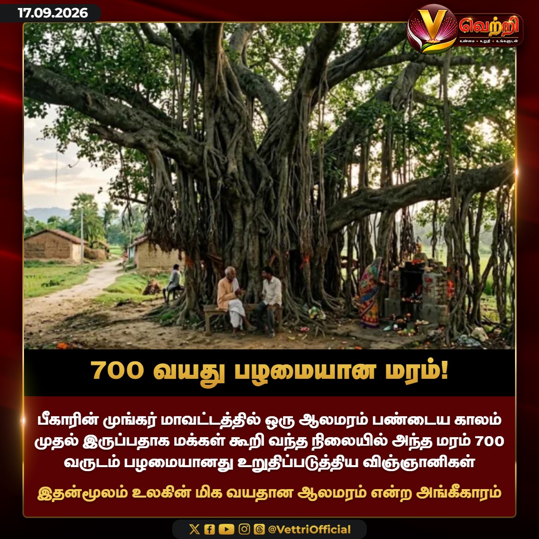 vettrioffl's tweet photo. 700 வயது பழமையான மரம்! #700YearsOldTree #AncientTree #VettriNews https://t.co/XAS225c0gq