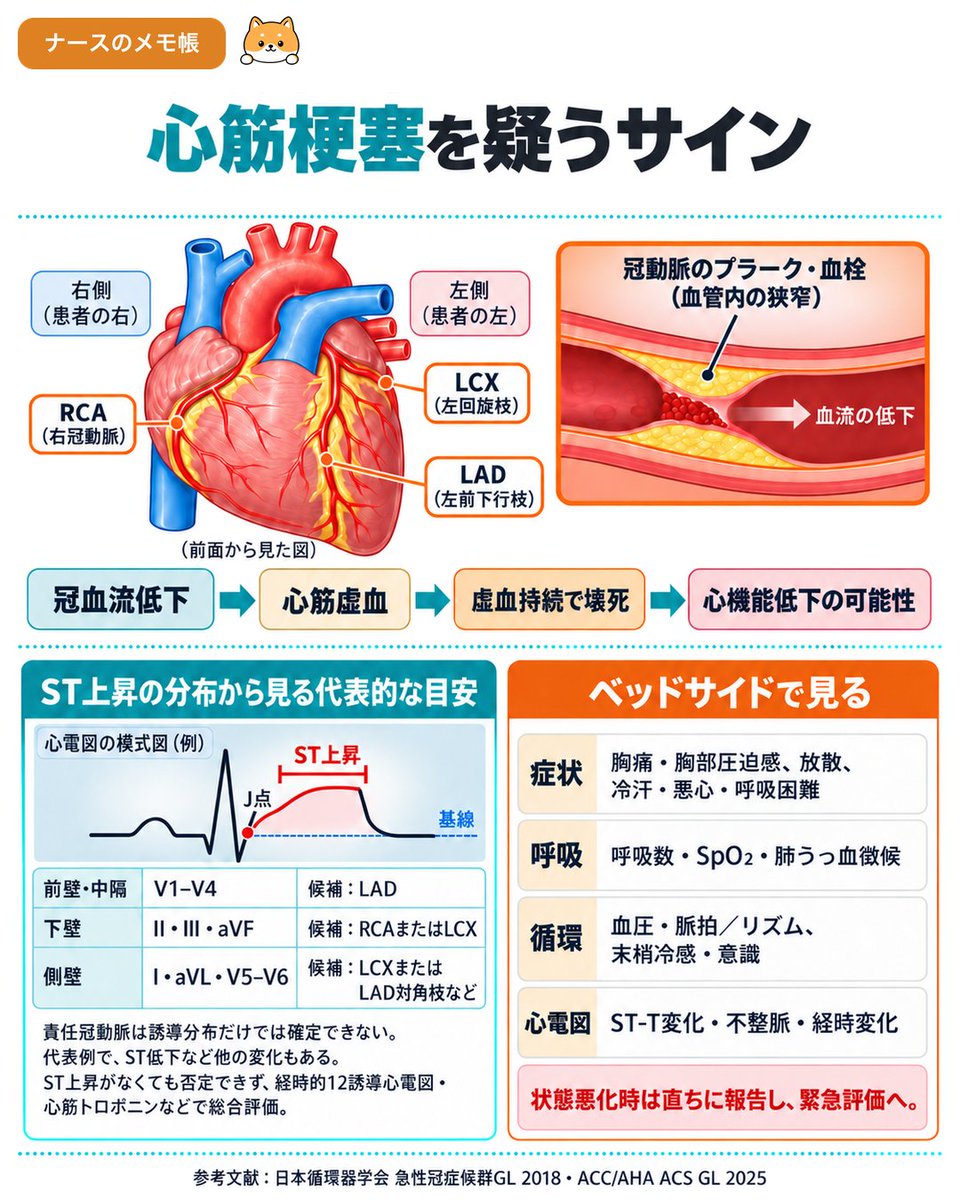 nurse84memo tweet picture