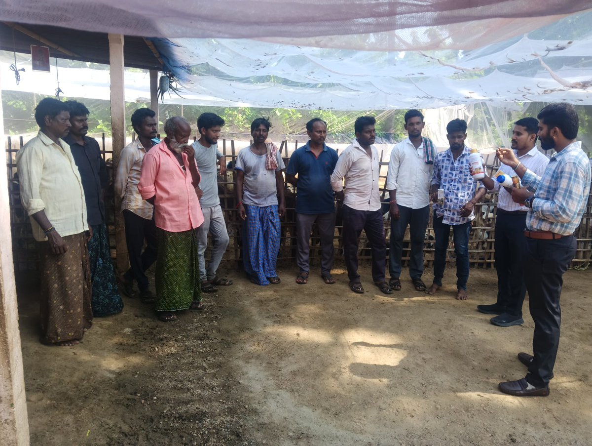 skyec_official's tweet photo. SkyEc successfully conducted a follow-up Shepherd Campaign at Konijerla Village, Vijayawada.
 We sincerely thank all the participants for their valuable support.

#skyec #shepherdcampaign #livestockhealth #animalhealth #shepherds #veterinarycare #farmerengagement https://t.co/cMwyJ7AsQ7