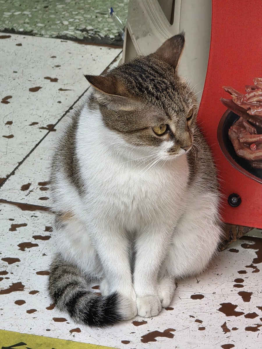soyoso's tweet photo. พนักงานคนนี้ไม่ต้อนรับแขกเลย นั่งขวางหน้าร้านอยู่ได้ ถามอะไรก็เงียบ https://t.co/tseMIFxfQ7