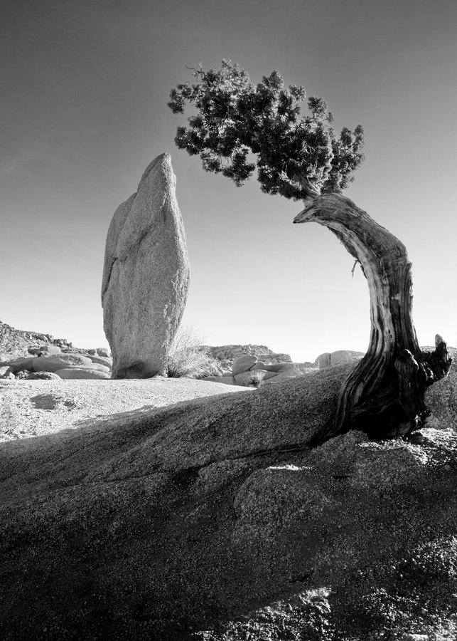 twistopherrobin's tweet photo. #Photography #Monochrome #AnselAdams https://t.co/1CKP0RyKxx