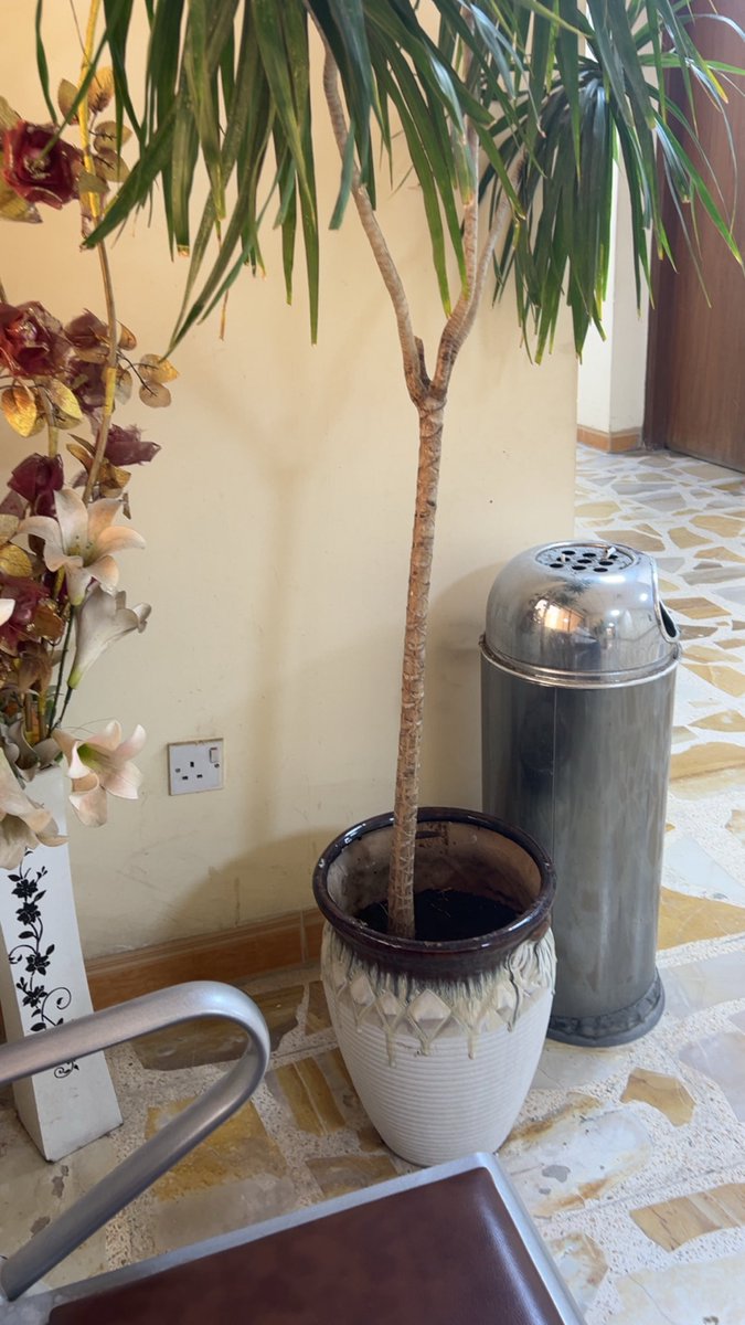 ofn2if's tweet photo. يحدث الان ، اكره الانتظار https://t.co/a2aOw8baOE