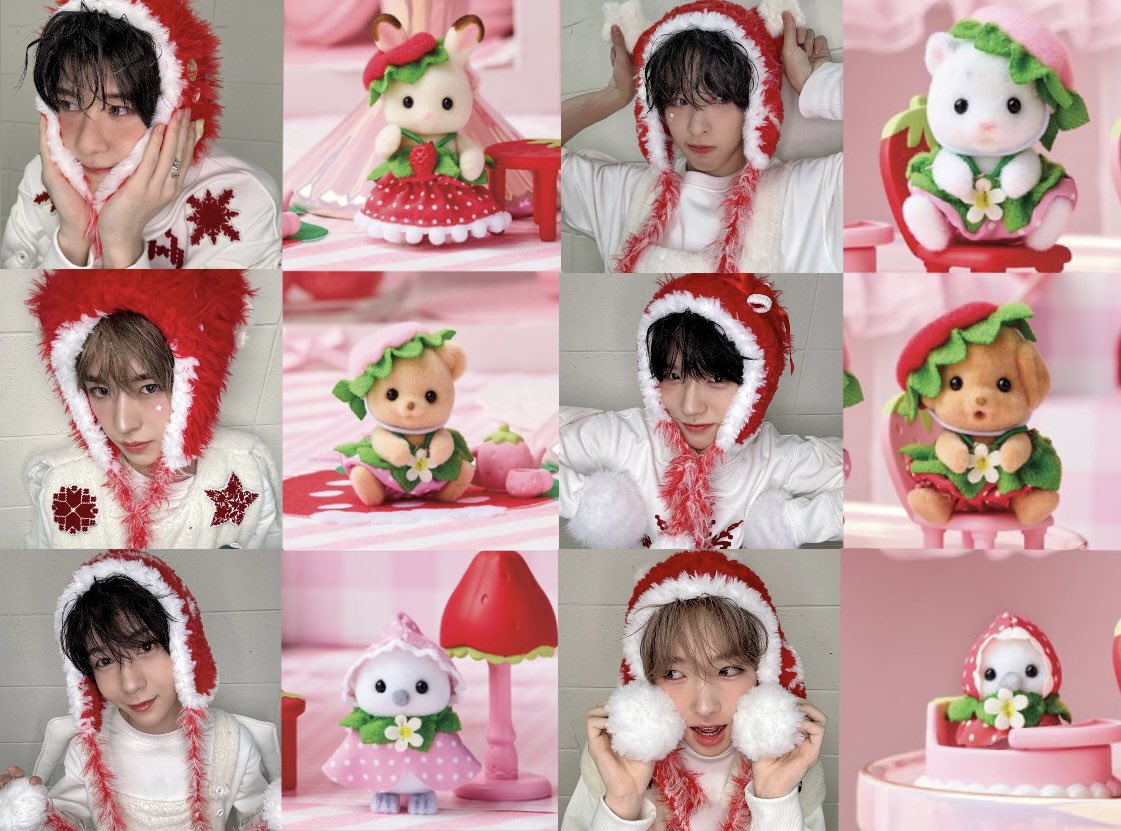 syongoonr's tweet photo. Sylvanian families new strawberry collection inspired by nct wish https://t.co/uRxl1cD5WR