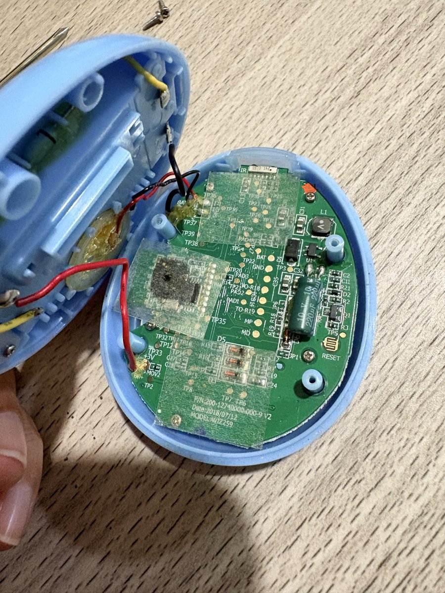 aydin_pop's tweet photo. 届いたばかりのたまごっちみーつが2日目にてお釈迦で泣きそう https://t.co/r12Cog5Rvm