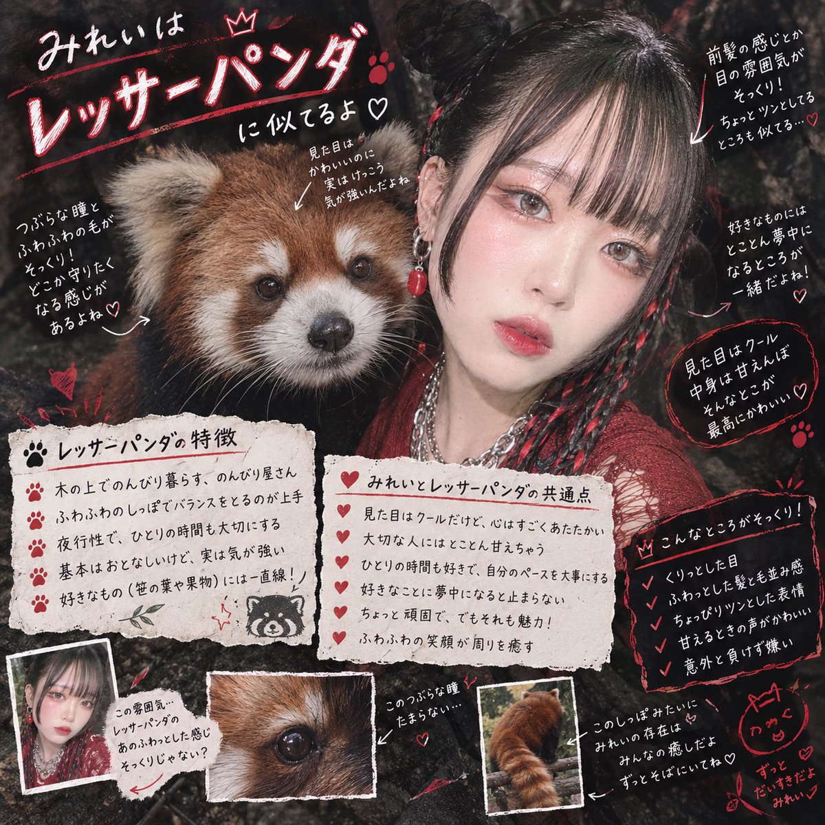 ikit___'s tweet photo. 珍しくこうゆう流行りに乗ってみる…。
猫じゃなかったーーーーー！！！🫢
そしてなんか右下にチャッピーからのシンプルラブレターがある。 https://t.co/UFfWnJ0m8m