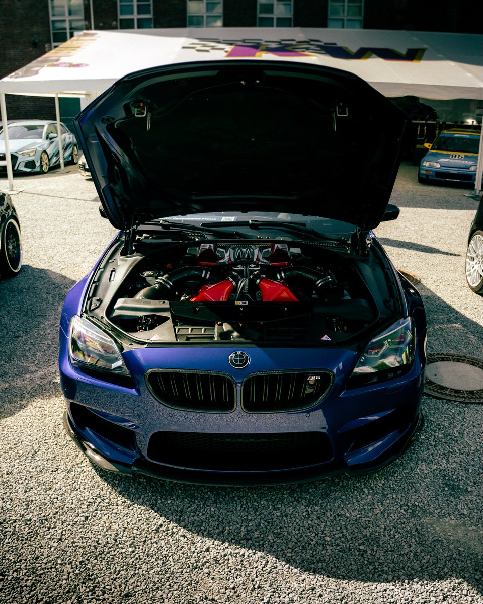 DamianCalomn's tweet photo. What a beast. https://t.co/YAq4TgEKf6