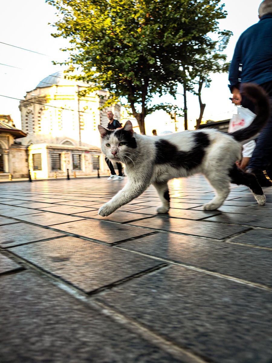 AlexDuicu's tweet photo. Day 260/365 
#streetphotography   
#ShotOnSnapdragon 
#FollowTheLight 
#UnexpectedView
@Snapdragon
@Snapdragon_DE
@Snapdragon_FR
@Snapdragon_UK https://t.co/WQ9Tls3chT