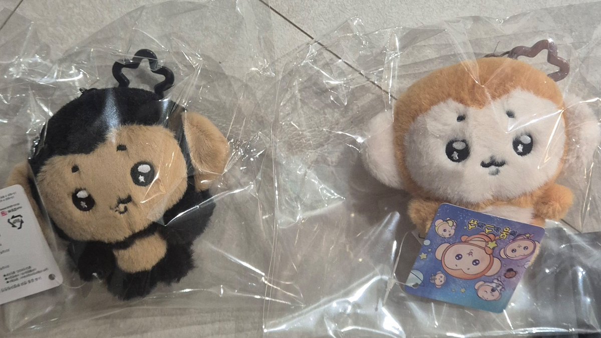 jeosoonglala's tweet photo. 뉴아아아🥺🥺
이제 실물 보려면 6개월후 본가가야됨 https://t.co/rx4hapms1m