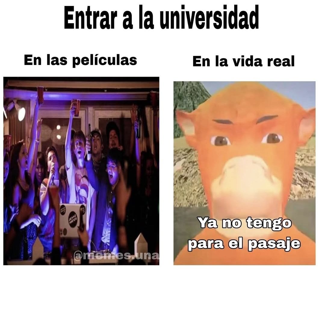 wikipistacho's tweet photo. https://t.co/dPS1Ab4z7a