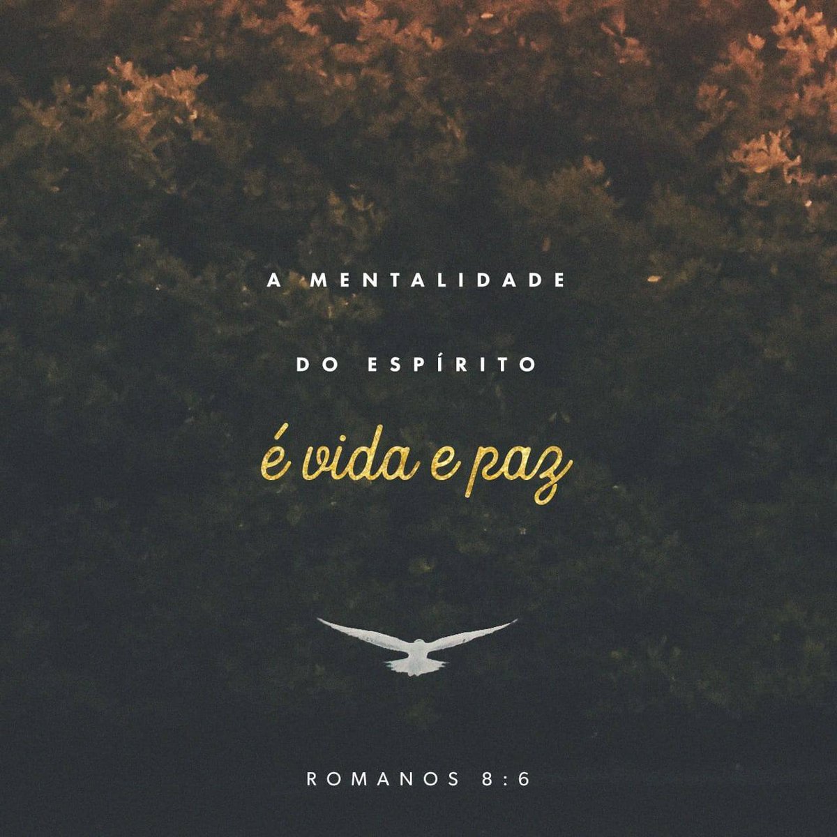 FrsEmunah's tweet photo. Bom dia,

💫🌞
“Portanto, permitir que a natureza humana controle a mente resulta em morte, mas permitir que o Espírito controle a mente resulta em vida e paz. ”
Romanos 8:6 NVT

https://t.co/mEMcpU80IS https://t.co/B1Qz3bBotZ