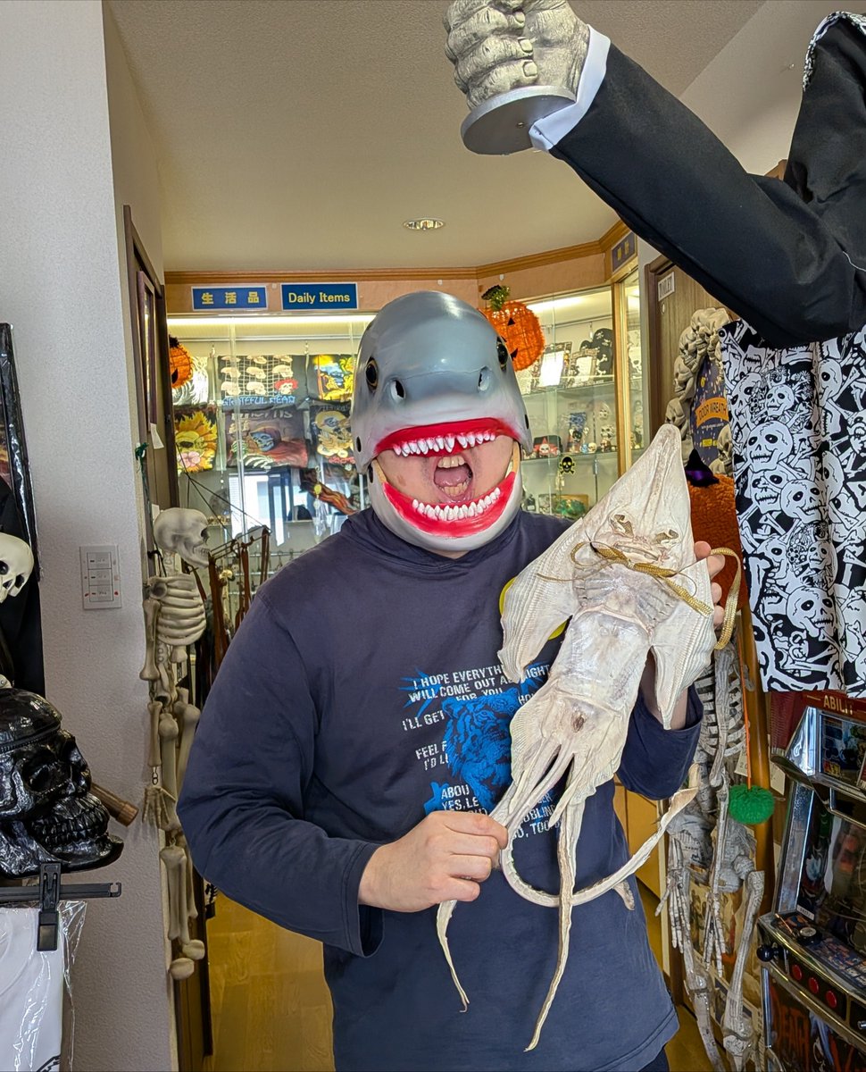 neeeeeenu's tweet photo. やあ！みんな🤚
尼崎シャレコーベミュージアム公式コスプレイヤーのニーヌだよ🤣
ハロウィンマーケットの出店者決定だよ🎃

うちの魚イベントにも来てくれた透明標本すくいや、ジェニファーちゃん👽️も登場するよ！

他のイベントが多い時期より１週ずれたハロウィン翌日なのでぜひ遊びに来てね〜！😃 https://t.co/aEWO55QtWo