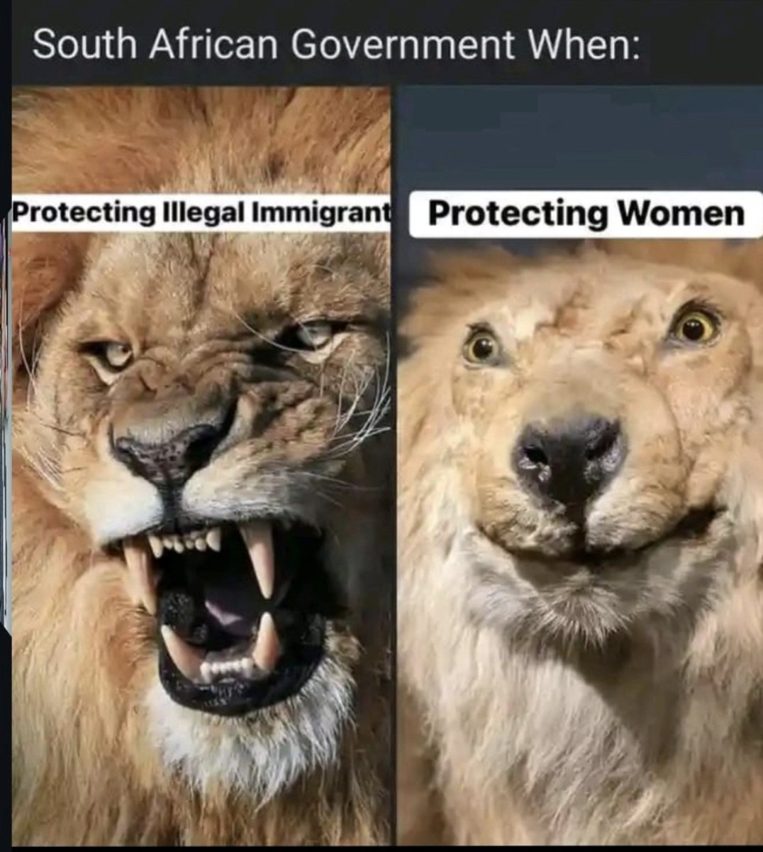 missleem's tweet photo. Our government 🤷🏾‍♀️🙄 https://t.co/DsJFulTcoR