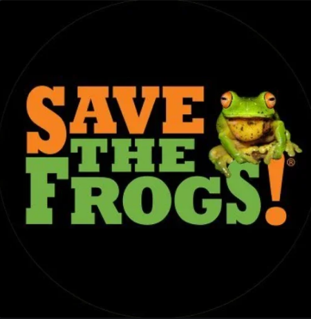 stockiusquant's tweet photo. .@savethefrogs is Matt Furie's own charity.

In 2023, after he dumped $1M in PEPE he was gifted, he donated it all to Save the Frogs.

There's an entire webpage explaining the charity's lore with Pepe
https://t.co/LJFkT0Sv28

Perfect for PAID? https://t.co/hlX9iovPlq