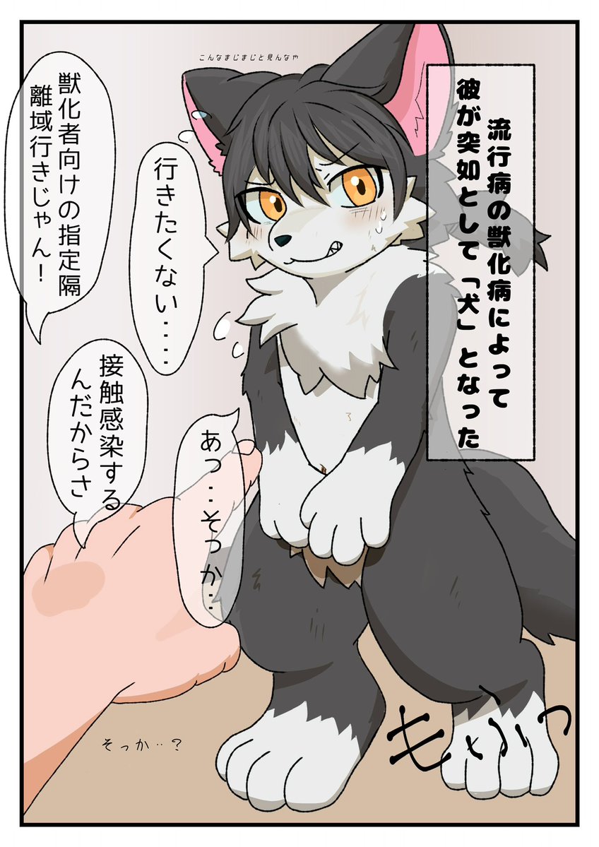 deio_2R_TF's tweet photo. 道連れTF  (1/2) https://t.co/NwW8JIJvvN