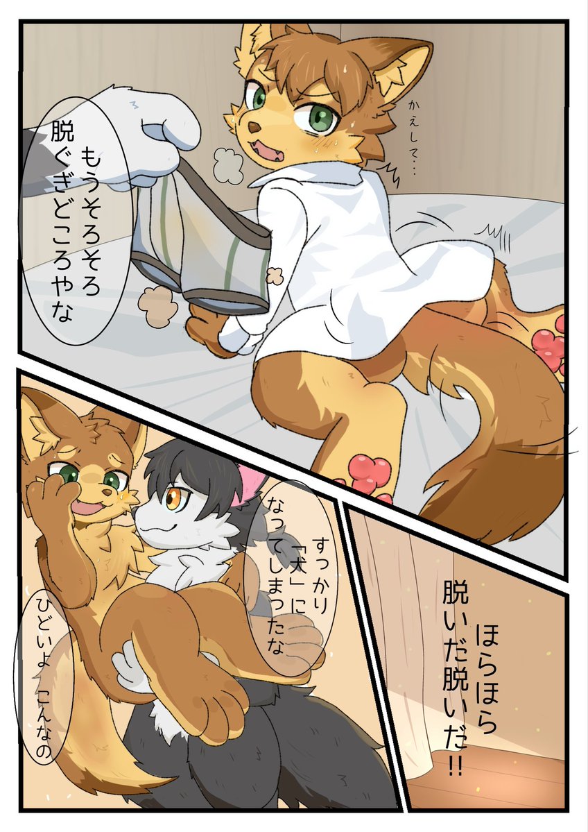 deio_2R_TF's tweet photo. 道連れTF (2/2) https://t.co/AvUeTcjlfe