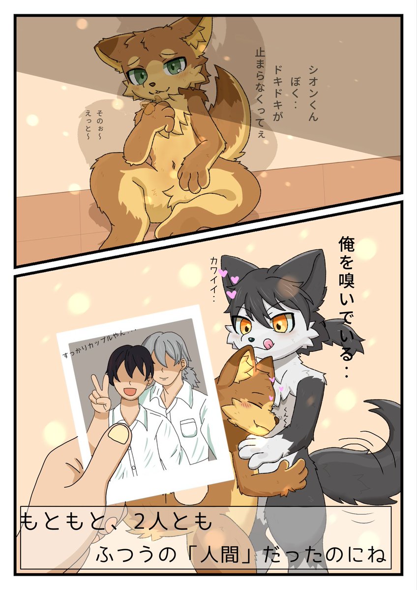 deio_2R_TF's tweet photo. 道連れTF (2/2) https://t.co/AvUeTcjlfe