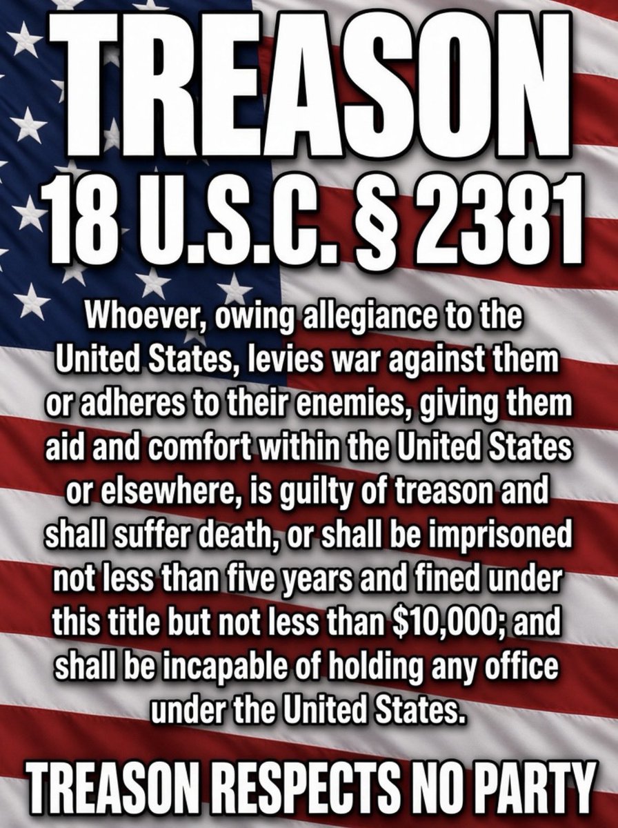 SparksN123's tweet photo. Demrats heard “aid and comfort” and thought it meant a press conference. Call you a threat to Democracy for a meme and call an actual statute “context.” Demrat stupid. https://t.co/FgUFizApb4
