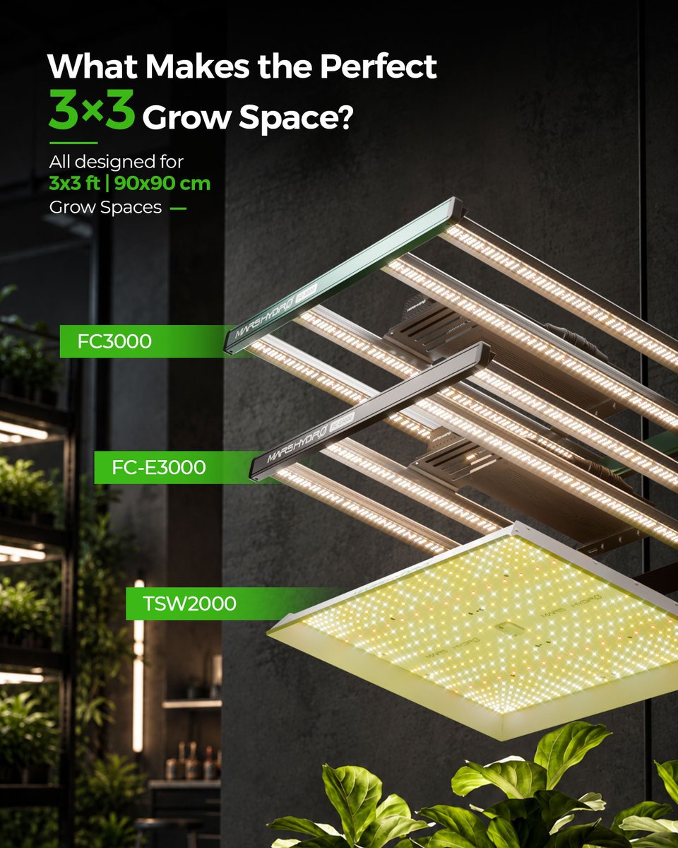 MarsHydroLight's tweet photo. Not every 3×3 grow light is created equal. 💡🌱

For a 3×3 ft space, these 300W options offer different ways to light your grow:

🌱 TSW2000 — Beginner-friendly
⚡ FC-E3000 — Great balance of value &amp; coverage
🔥 FC3000 — Premium performance

Which one fits your setup? https://t.co/mEaZLYrwEW
