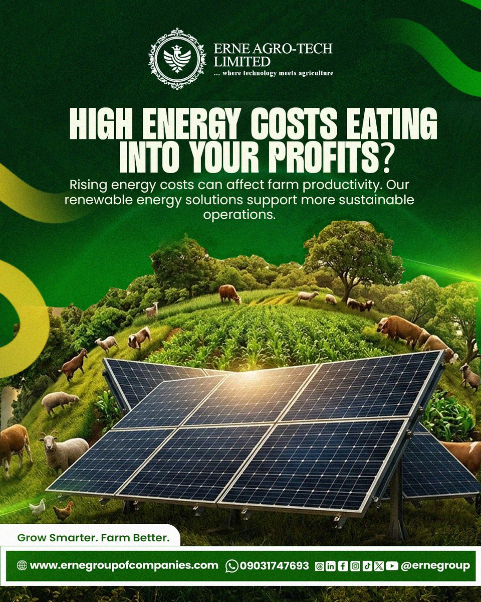 ernegroup's tweet photo. Spend less money, save more energy and get maximum farm yield annually.

Erne Agro Tech Limited provides you energy efficient solutions for the productive management of your farming experience annually.

Tel: 09031747693

#erneagrotechlimited #ernegroupofcompanies #agriculture https://t.co/FR1PrPxpBX