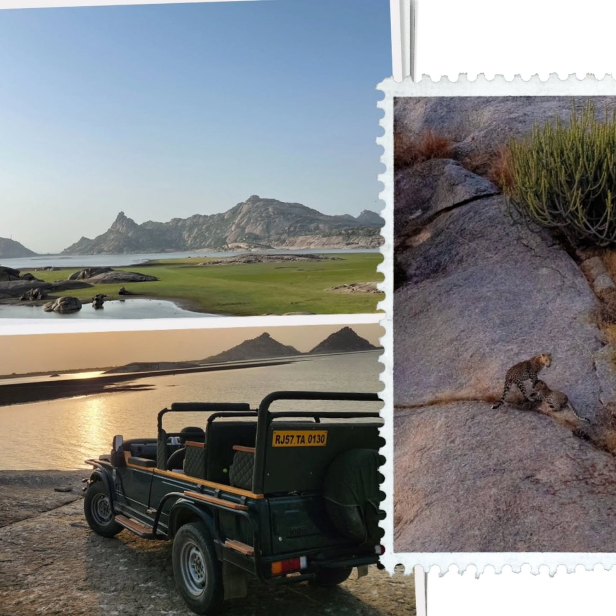TunaKandermir's tweet photo. Where nature leads and the wild follows — Jawai https://t.co/wqHkkkCKOH