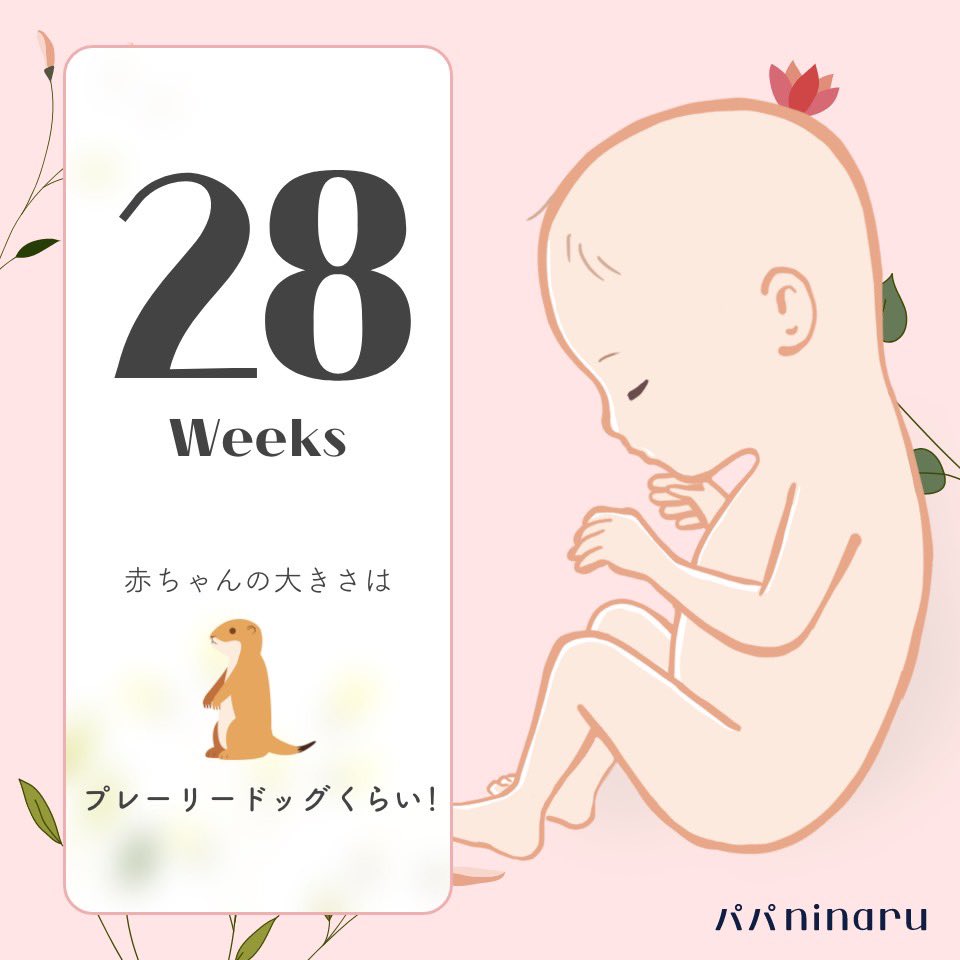 hr__bdg's tweet photo. 妊娠8ヶ月28週
ついに後期に突入しました☺️
ここまで何事もなく大きく育ってくれて本当にありがとう✨ママの体は悲鳴をあげてるけど🤣ここから更に大きくなるんだよ〜🍀 https://t.co/SktoGzfYNH