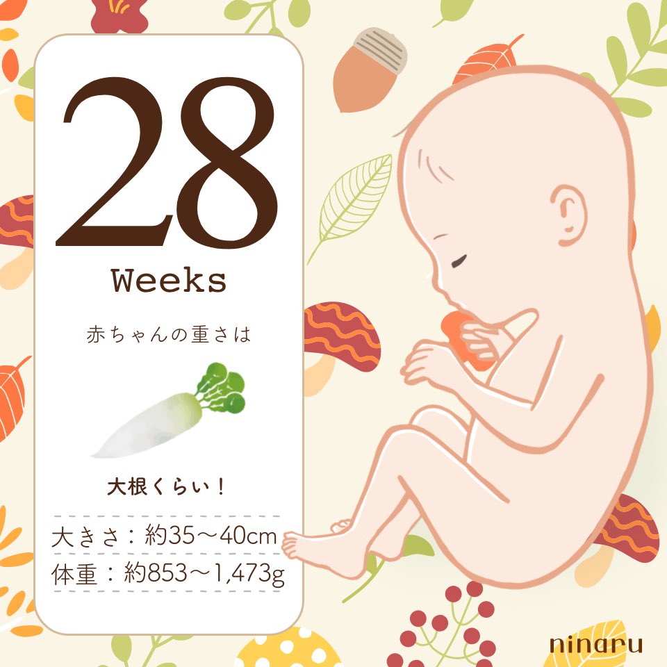 hr__bdg's tweet photo. 妊娠8ヶ月28週
ついに後期に突入しました☺️
ここまで何事もなく大きく育ってくれて本当にありがとう✨ママの体は悲鳴をあげてるけど🤣ここから更に大きくなるんだよ〜🍀 https://t.co/SktoGzfYNH