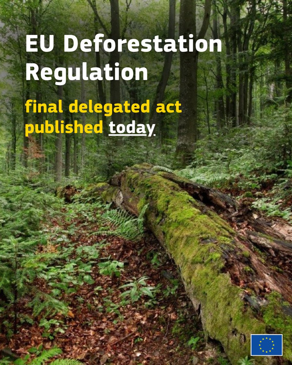 EU_ENV's tweet photo. Today, we published the delegated act on the product scope of the #EUDR🌳

It introduces exemptions and removes items like leather and re-treaded tyres

The information system supporting the Regulation is up &amp; running

Have questions? Check out the FAQs 👉 https://t.co/LJ3bRSNm2H https://t.co/Edx3OdwkEO