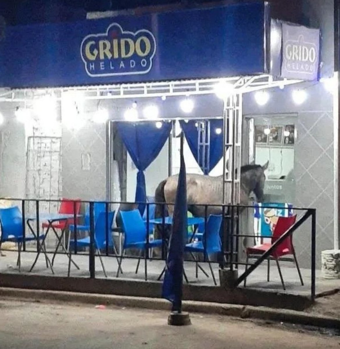 MAbiotaGabiota7's tweet photo. Quiero de pasto granizado...🍦 https://t.co/RyDItmaLZl