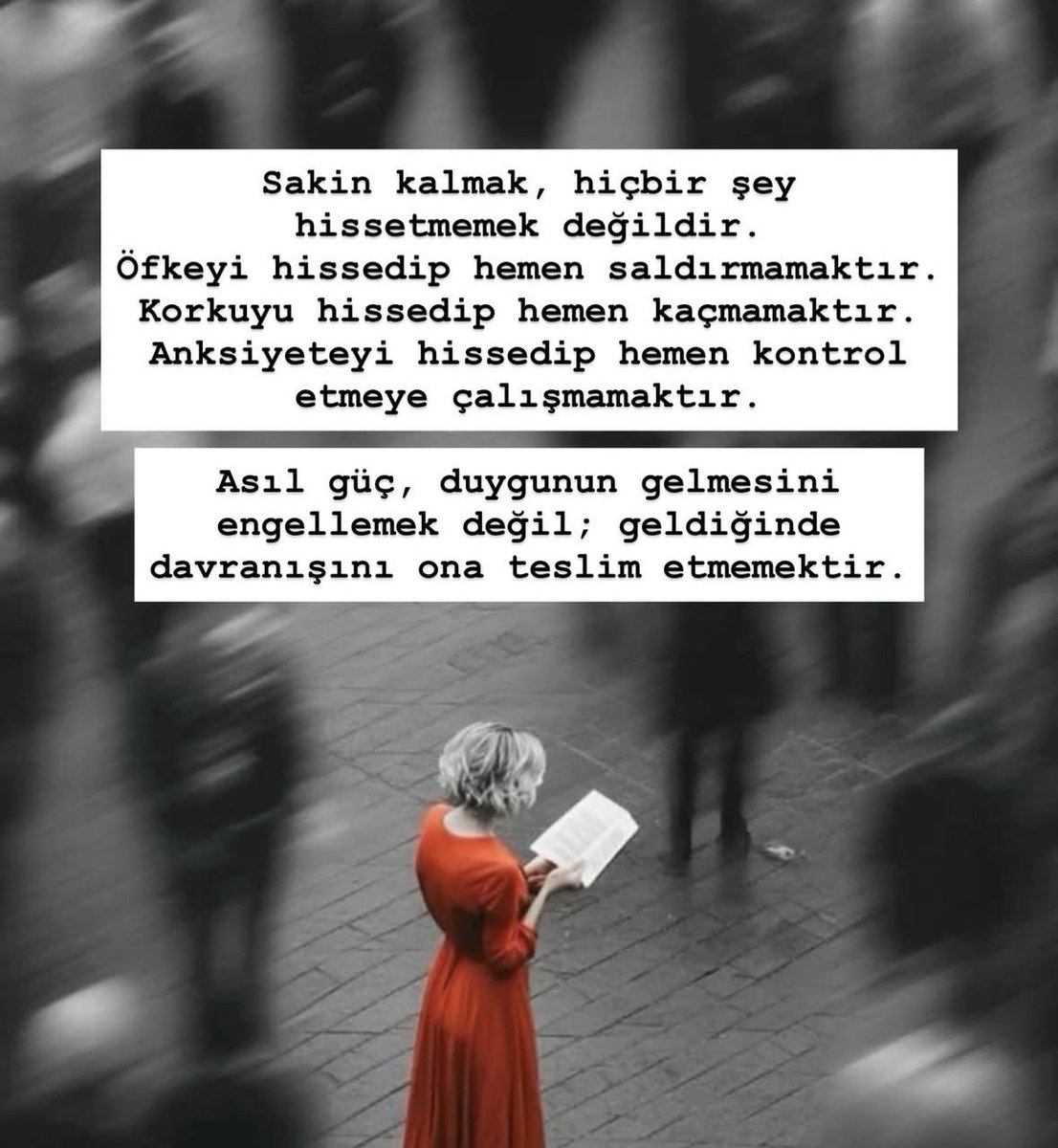 thilalsuvar's tweet photo. Olay kendimi kontrol edebilmemmiş ikna oldum https://t.co/srkFsAvbgX