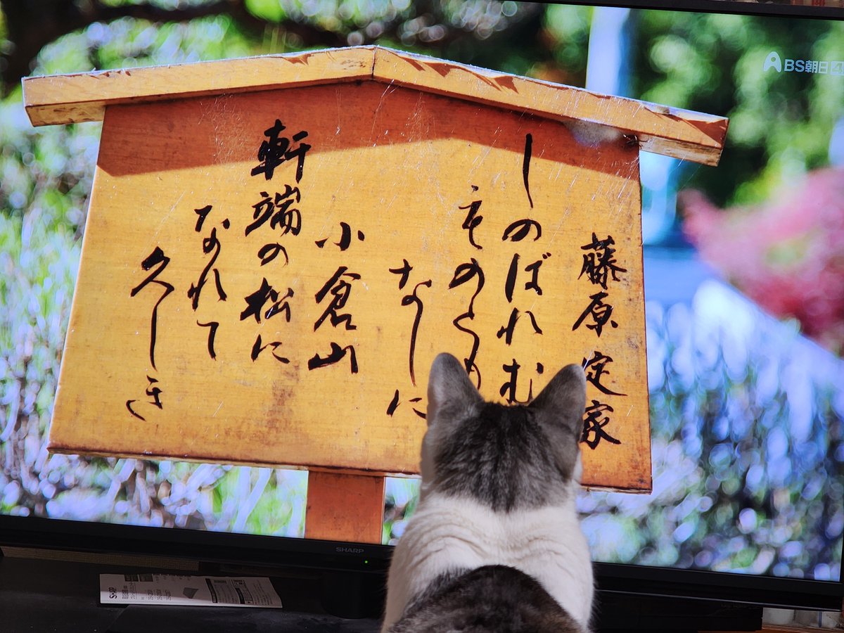 81dbH2JsPFfFQWR's tweet photo. #深層NEWS
読売解説者のとおり、自民党内議員を把握していないからアンケート⁉️
可笑しくないか‼️トヨタ自動車の幹部登用に､上級管理者のアンケートで登用降るか⁉️部下職員を把握しているから幹部登用出来るんだよな‼️
派閥人事をアンケート人事としてスケートボード‼️
デジタル大臣なんとかしろ‼️ https://t.co/sE6hbhnEuh