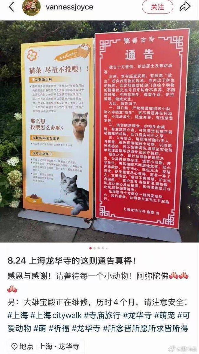 颜探长 的图片 1