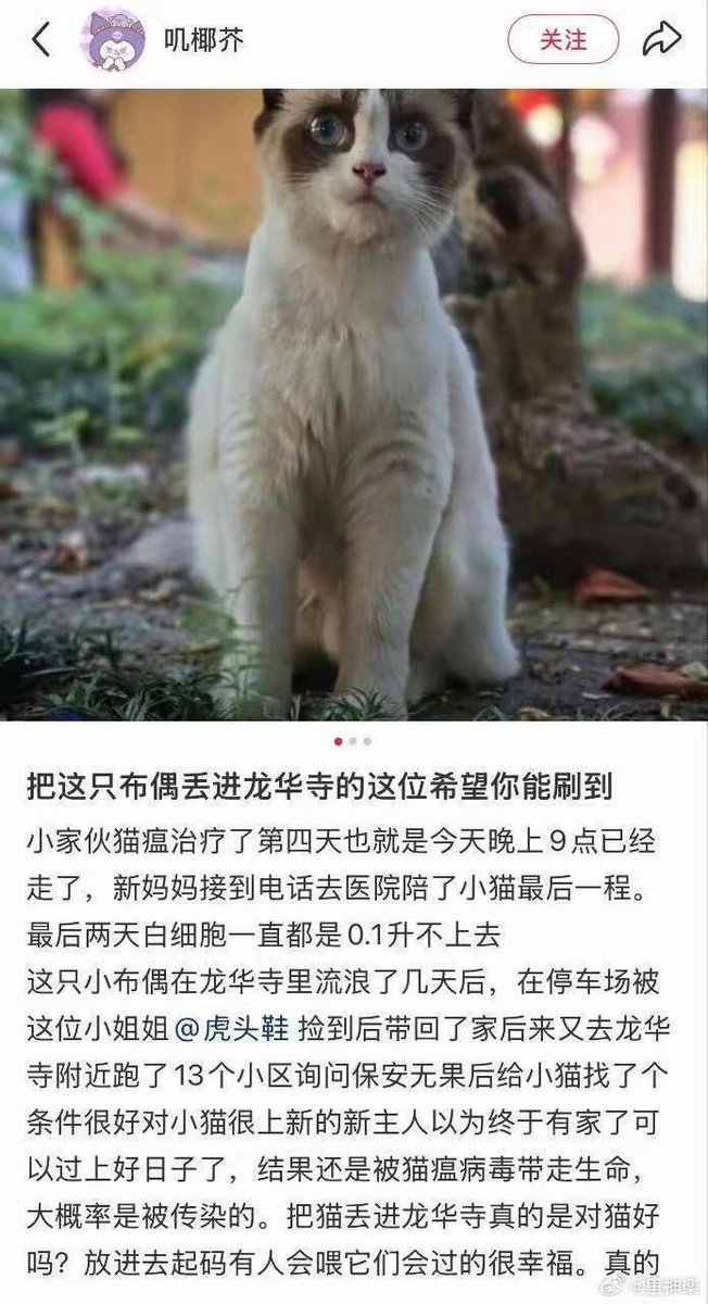 颜探长 的图片 2