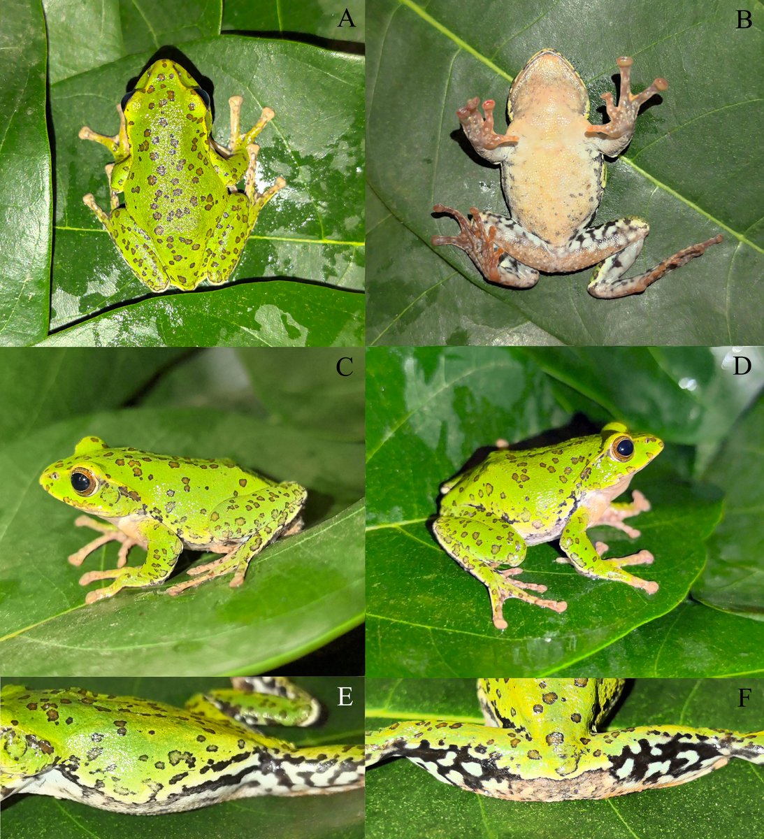 BioDataJournal tweet picture
