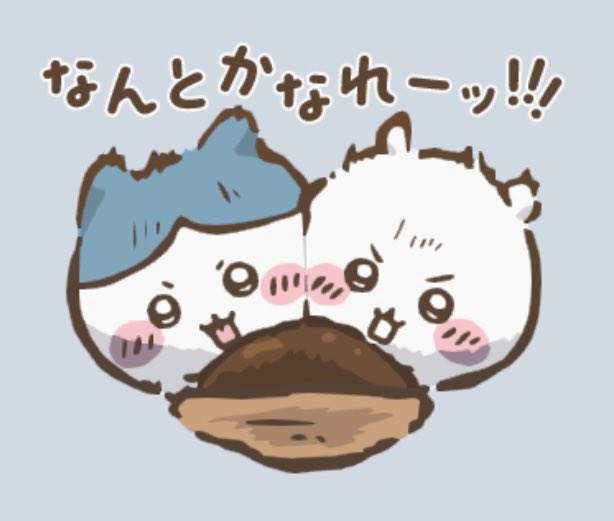 whitewolf_1004's tweet photo. 「安静療養中の友」は、TVと読書とスマホ✨

📺
音楽番組
トーク番組
「VIVANT」「晩酌の流儀」他ドラマ
アンパラレルド
カンブリア宮殿
ガイアの夜明け
世の中お金で見てみよう
王様のブランチ
占ってもいいですか

📕
図書館で借りる
Amazon楽天

📱
ちいかわ

楽しみながら回復途上💫
満ちている🌈 https://t.co/lSkZFsVKfR