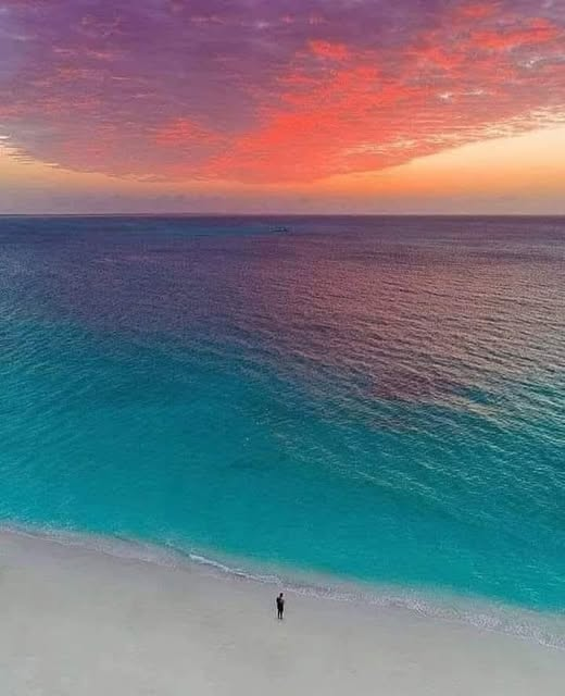 KateriSeraphina's tweet photo. "La peur", de Khalil Gibran.
"On dit qu'avant d'entrer dans la mer,
une rivière tremble de peur.
Elle regarde en arrière le chemin
qu'elle a parcouru, depuis les sommets,
les montagnes, la longue route sinueuse
qui traverse des forêts et des villages,
et voit devant elle un océan si vaste
qu’y pénétrer ne parait rien d'autre
que devoir disparaître à jamais.
Mais il n'y a pas d'autre moyen.
La rivière ne peut pas revenir en arrière.
Personne ne peut revenir en arrière.
Revenir en arrière est impossible dans l'existence.
La rivière a besoin de prendre le risque
et d'entrer dans l'océan.
Ce n'est qu'en entrant dans l'océan
que la peur disparaîtra,
parce que c'est alors seulement
que la rivière saura qu'il ne s'agit pas
de disparaître dans l'océan,
mais de devenir océan."