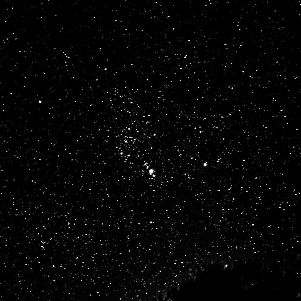 sage_astr's tweet photo. orion https://t.co/m2MIT24ma2