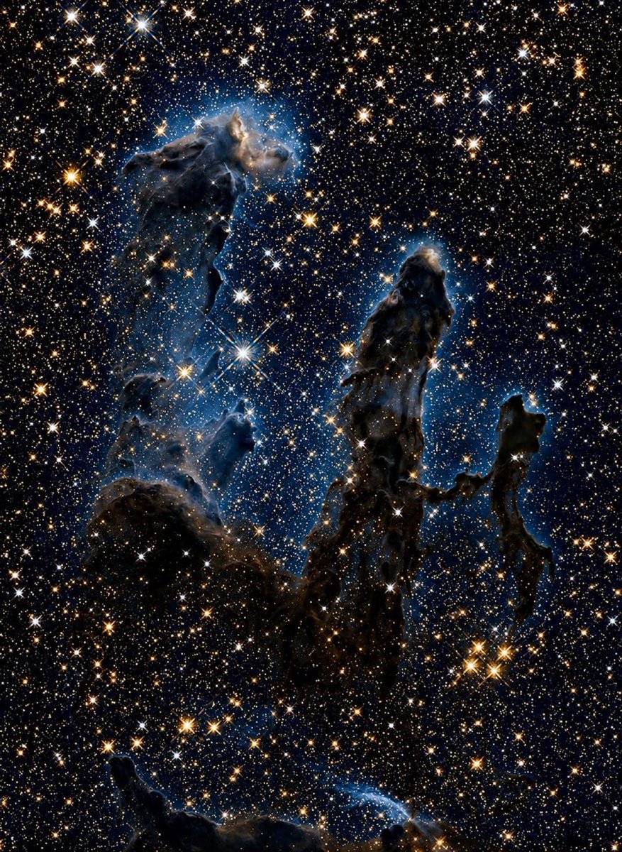 Thespacetechguy's tweet photo. 🦈 https://t.co/euje2IRshU