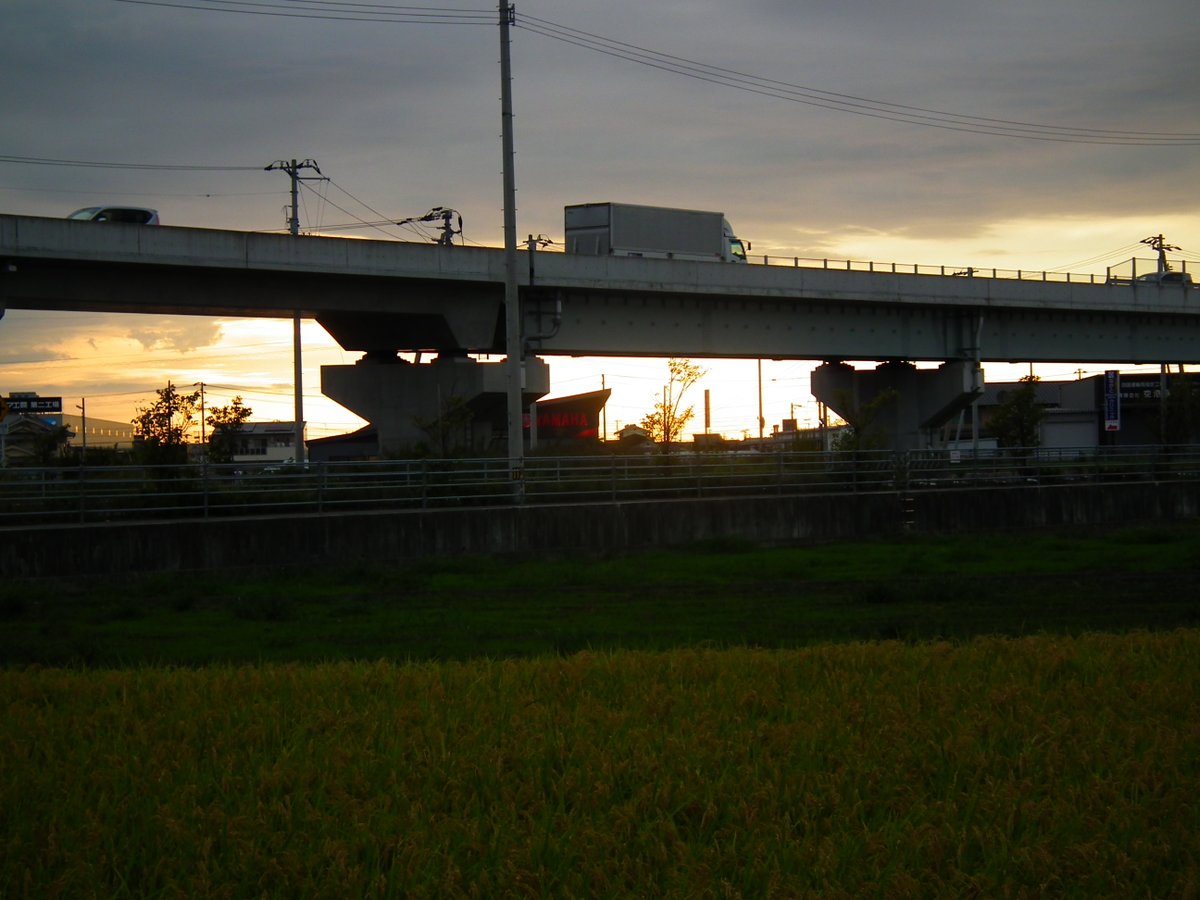 mlit_matukakoku's tweet photo. ２０２６．９．１７（Thu.）
曇り空の向こうに見える夕色に　浮かび上がる
#松山外環状道路空港線　のシルエット
#夕景 https://t.co/hZYHj7VqtQ