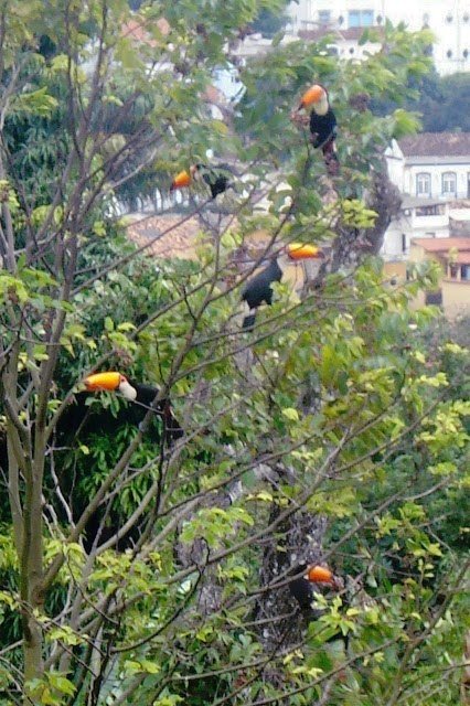tired_ibis tweet picture