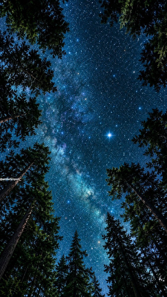 aestheticspost_'s tweet photo. Night sky. ✨ https://t.co/ceQRngedIH