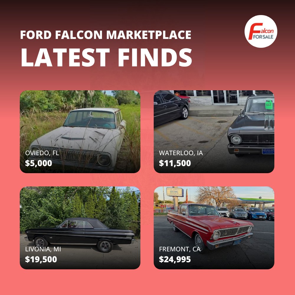 falconforsale's tweet photo. Check out new listings shared daily! Visit https://t.co/of1eeiZ9Ag https://t.co/vZeYkAO4zU