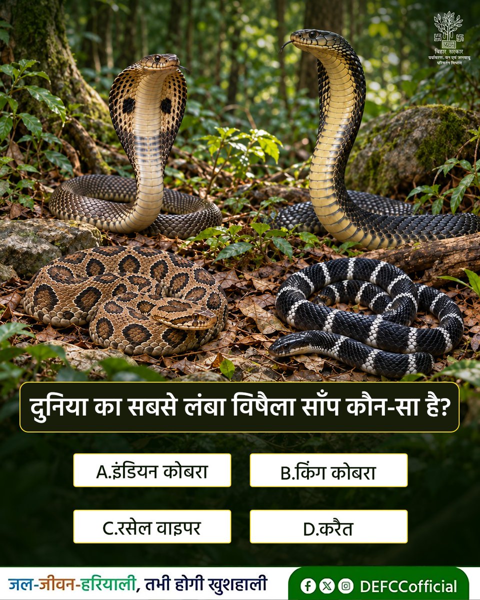 DEFCCOfficial's tweet photo. क्या आप इस सवाल का जवाब जानते हैं? अपना उत्तर कमेंट में जरूर बताइए।
@mla_hayaghat @IPRDBihar @moefcc
#snake #snakefacts #snakeawareness #venemoussnake #wildlifefacts #wildlife https://t.co/8xuxTsHeYJ