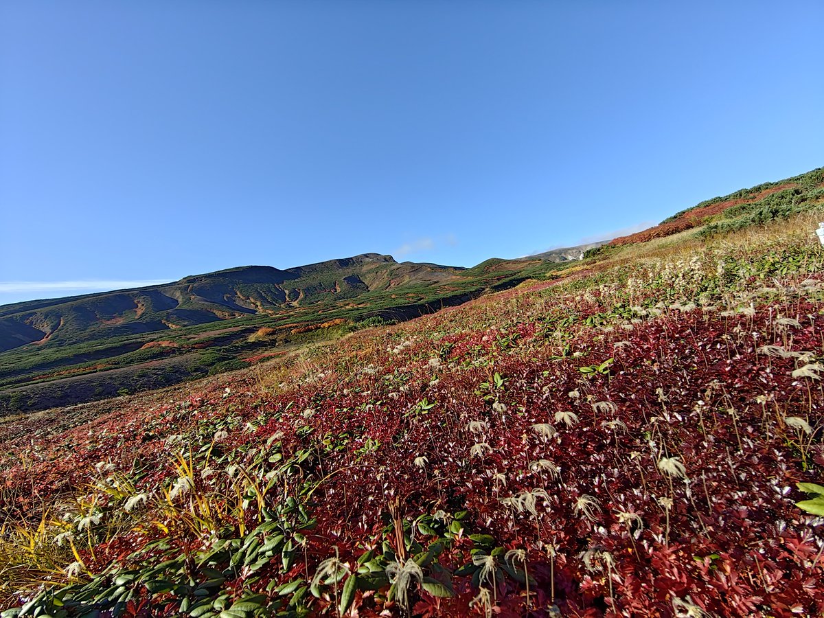 rrrrrrri03's tweet photo. 大雪山
素晴らしかった　
2026年9月16日 https://t.co/pkNC0YBqXv