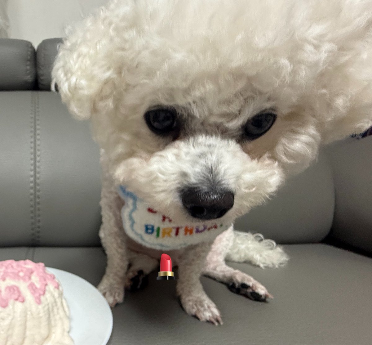 soooyiee's tweet photo. @eou1li 나지금뭐해 https://t.co/1TagSpdR4L