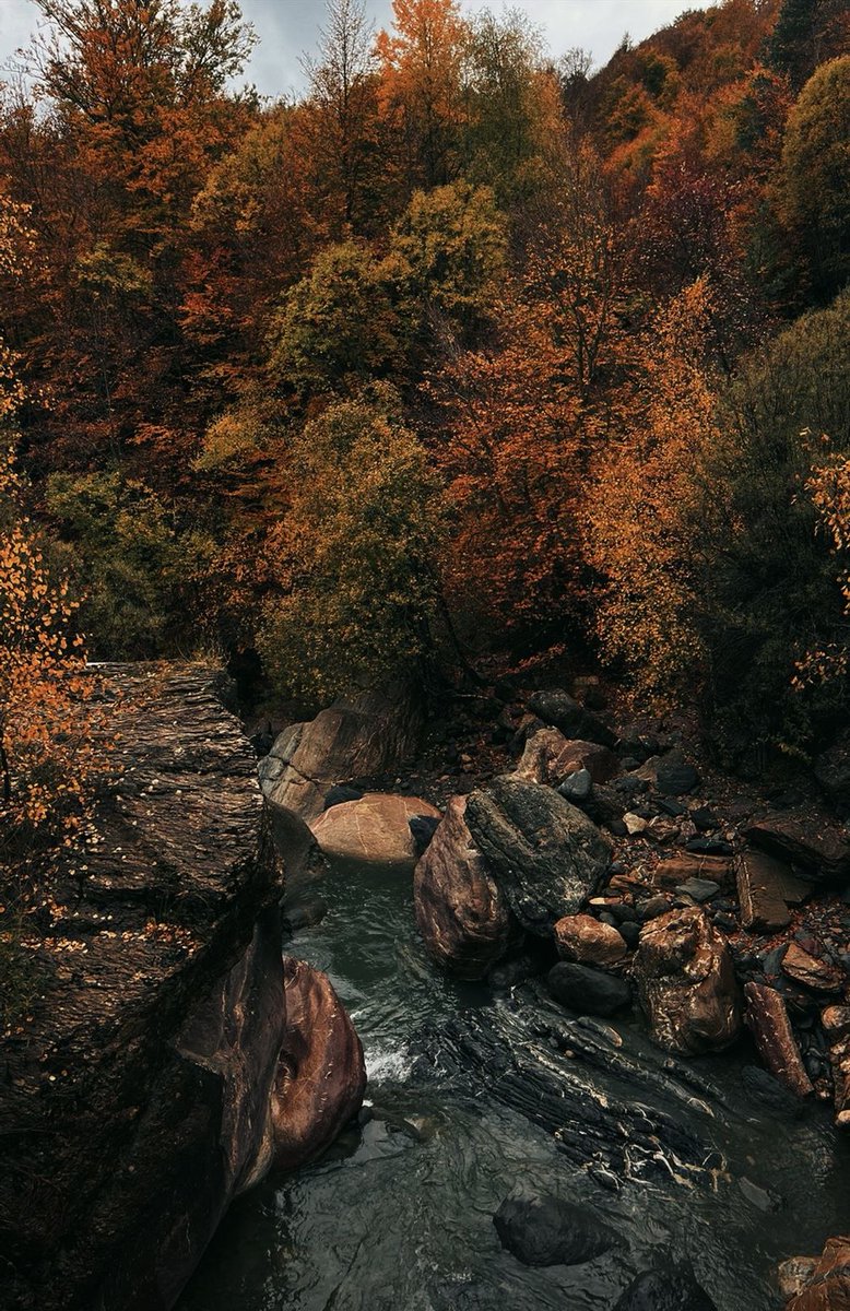 thespookygirll's tweet photo. 4 more days till the first day of autumn 🍁🤎 https://t.co/wI4c6zrlaN