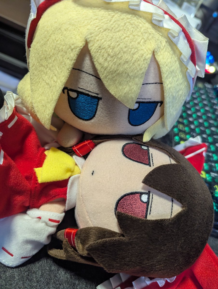 Wakasagi_Omiya2's tweet photo. レイアリ
#ふもふも　#fumo https://t.co/xL8AgAooqV
