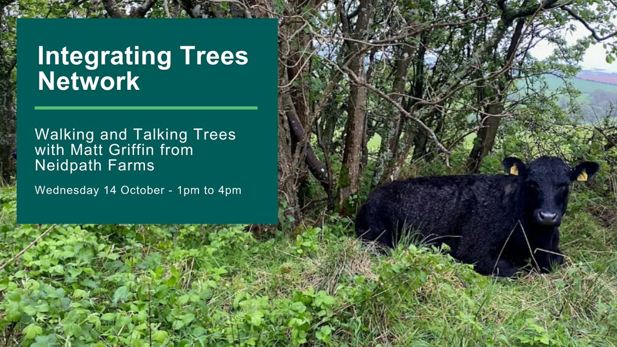 scotforestry's tweet photo. Event | Walking and Talking Trees with Matt Griffin 🌳

📍Peebles - Wed 14 October, 1pm to 4pm 

Join us for a walk at Edston Farm. Discover how trees can help to build a more resilient livestock system through shelter, woodland grazing, browse and more.

https://t.co/EyYye8jPiu https://t.co/SE0dbHbsf8