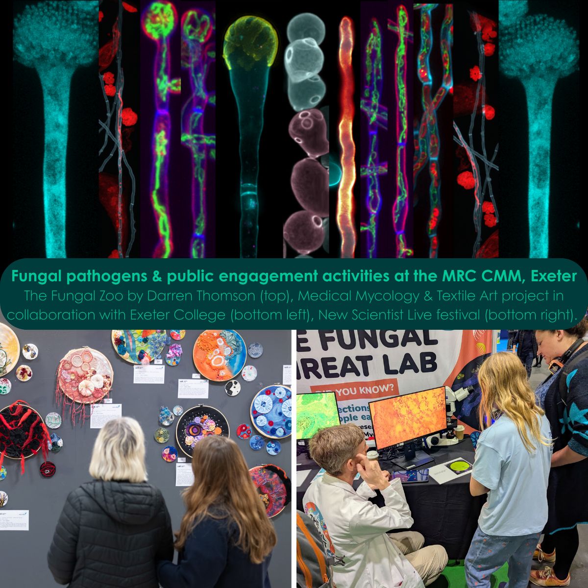 MRCcmm's tweet photo. π§« Itβs day 4 of FDAW 2026 itβs also @IntMicroDay
Today we're highlighting work across the MRC CMM, CMM AFRICA unit and CMM LATAM unit to understand the fungi that threaten human health & raise awareness of fungal infections.
#ThinkFungus26 #Fungi @CDCgov https://t.co/AECzQgw4fq