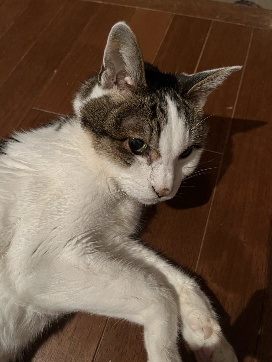 _FGiKo's tweet photo. 19ちゃい https://t.co/pyGmmeRXvu