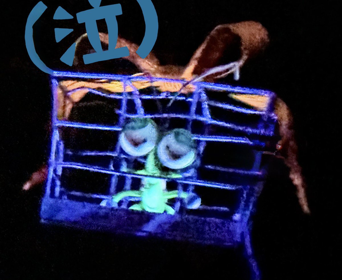 staff0226's tweet photo. ホリナイ変更点2026

【悲報】

『この哀れな虫達は、もちろん、ウギーブギーへのプレゼントです』

↑バギーに流れる台詞廃止

#ありがとうホリナイ https://t.co/dVOftCeFcH